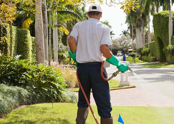 About Port Aransas TX Pest Control Pros